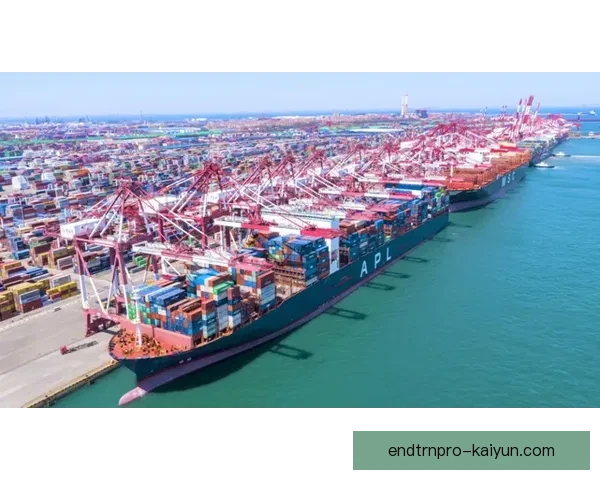 上海海港近期表现稳健，竞争力增强在联赛中崛起